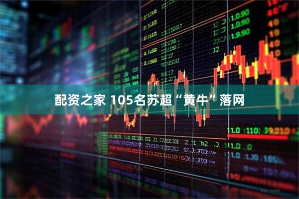 配资之家 105名苏超“黄牛”落网