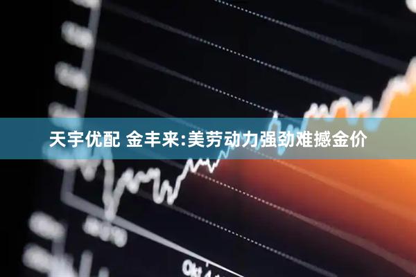 天宇优配 金丰来:美劳动力强劲难撼金价