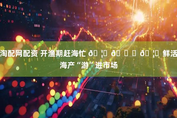 淘配网配资 开渔期赶海忙 🦐🐟🦀鲜活海产“游”进市场